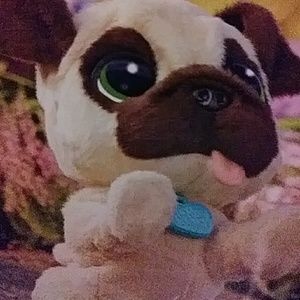 Meet your Posher, Marie